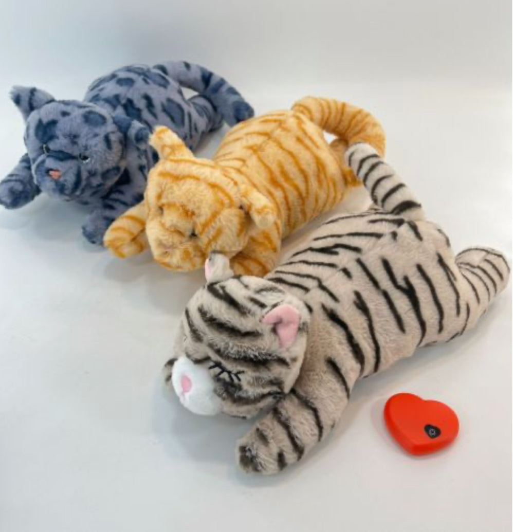 TINNY GATITO! NO MÁS ESTRÉS PARA TU MININO!