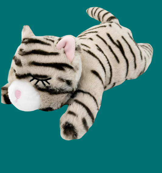 TINNY GATITO! NO MÁS ESTRÉS PARA TU MININO!