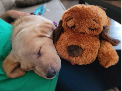 TINNY PERRITO DORMILÓN ANTIESTRÉS PARA MASCOTAS